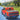 Retractable Truck Bed Tonneau Cover Compatible with 2015 2016 2017 2018 2019 2020 2021 2022 2023 2024 Ford F-150 Incl.Raptor/Lightning (5‘5”/66" Bed) Aluminum Truck Bed Cover Password Lock